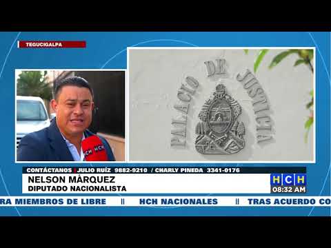 “Abogados que estén aptos para postularse como magistrados, deben hacerlo”: Diputado Nelson Márquez