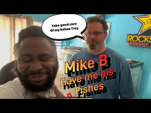 Fish rescue from Mike B Due to work Mike has to give up his fishes and he didn’t want to give them to the pet store or to 