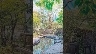 御食事処「いろり山賊」の足湯へ #いろり山賊 #Japan #国内旅行 #JapanTravel