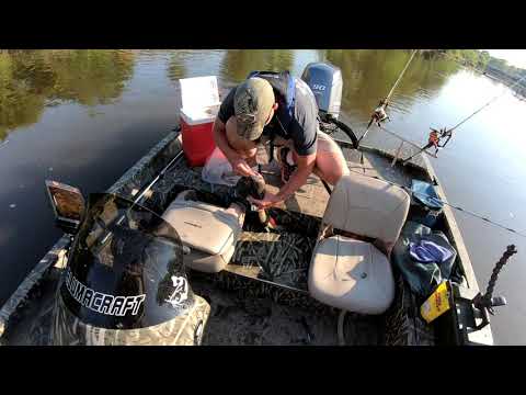 small river catfishing success