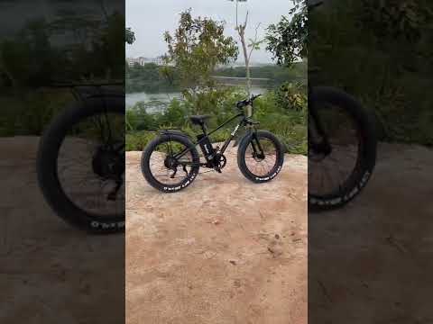 Electric bicycle Rooder