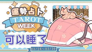 【一周運勢】拒絕內耗提早自我放飛☆【塔羅占卜】【櫻野露】