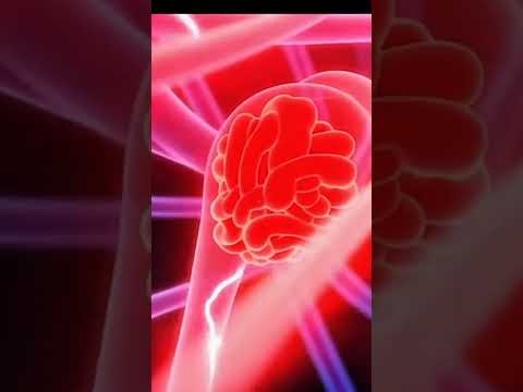 “क्या गुस्सा सिर्फ दिमाग की चीज़ है या पूरा शरीर react करता है?” 😡