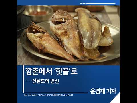 [짧은뉴스] 깡촌에서 ‘핫플’로···산달도의 <strong>변신</strong>