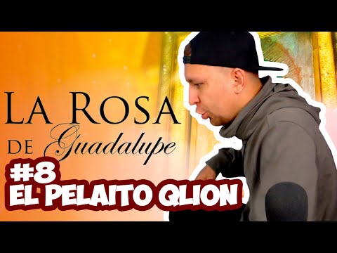 LA ROSA DE GUADALUPE #8 (EL PELAITO QLION)