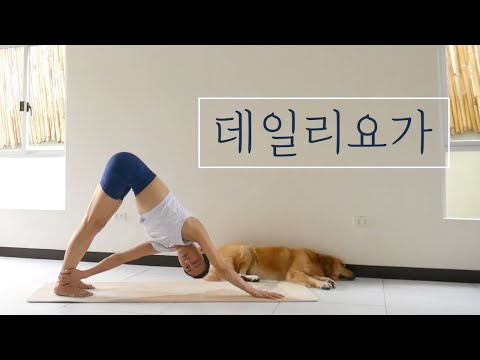 [<strong>EVA</strong> YOGA]데일리 요가
