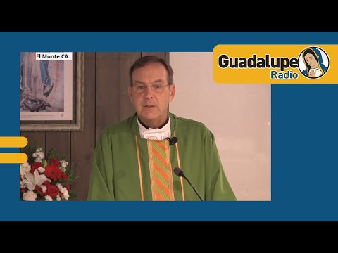 ¿Qué nos dice hoy la palabra de Dios?