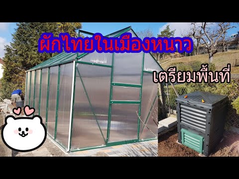 สามีเตรียมความพร้อมพื้นที่ปลูก สามีเตรียมความพร้อมพื้นที่ปลูก