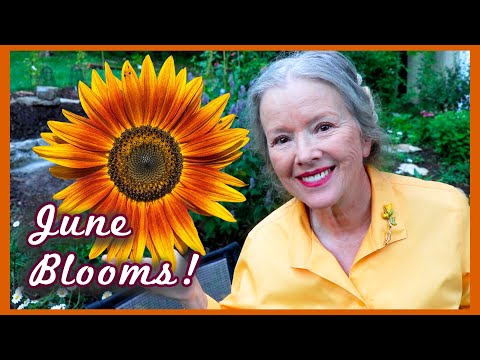 June BLOOMS!