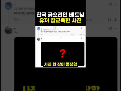 <strong>한국</strong> 긁으려던 <strong>베트남</strong> 유저 참교육한 사진