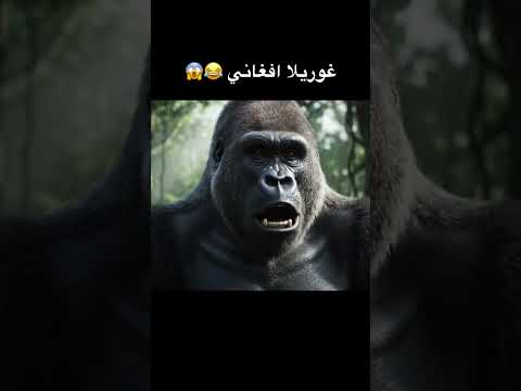 #minecraft #rocketleague #اكسبلور #ماين_كرافت #اعتني #السعودية #monkey #الغلا #غوريلا #قرود_الطائف