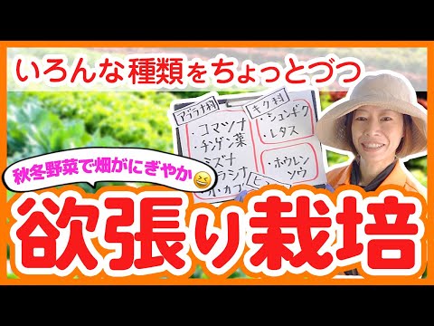 少量多品目栽培のコツ！初心者でもわかる品目選びから植え付け・栽培までを徹底解説！【農園ライフ】