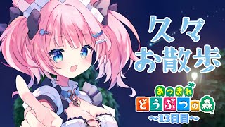 【あつ森#13】久々だしお散歩しよか～！【あつまれどうぶつの森/新人Vtuber】