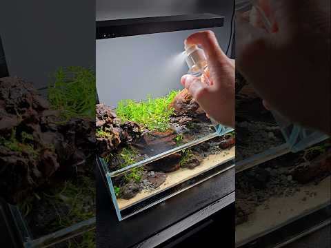 Boost Emersed Plant Growth with APT Dew! | Easy Sp Want lush, vibrant growth for your emersed aquatic plants? 💧
APT Dew by 2hr Aquarist is the ultim