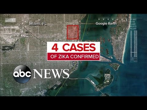 Zika Virus Arrives in Florida