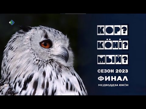 Миян йöз. Что? Где? Когда? 1 часть. 15.05.23