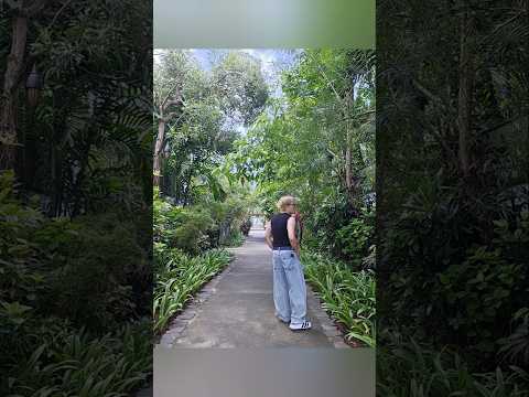 還沒紅 真划算 下個巴里島 #sudamalaresorts #labuanbajo