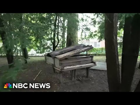 Decaying old piano redefines how we think about music and art