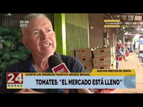 Tomates: El mercado está lleno