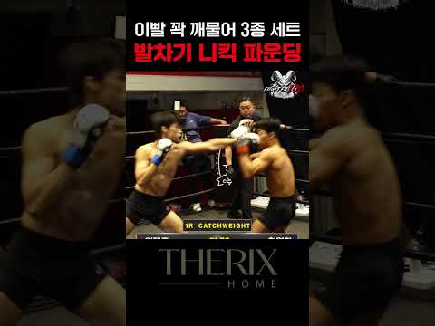 이빨 꽉 깨물어 3종 세트 발차기 니킥 파운딩