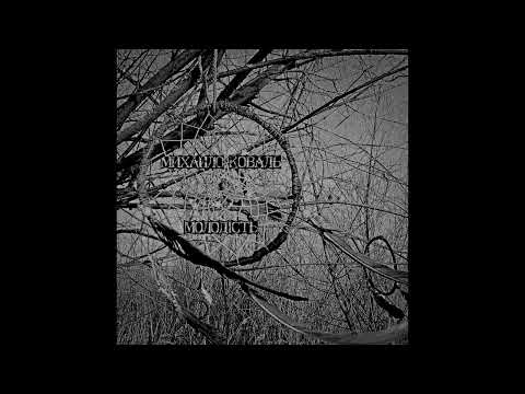 Михайло Коваль _ Молодість