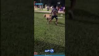 يا آخذ قوتي يا ناوي على موتي