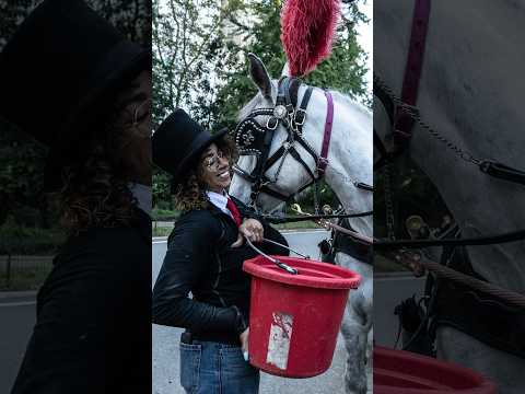 NYC Bans Horse-Drawn Carriages After Decade-Long Battle