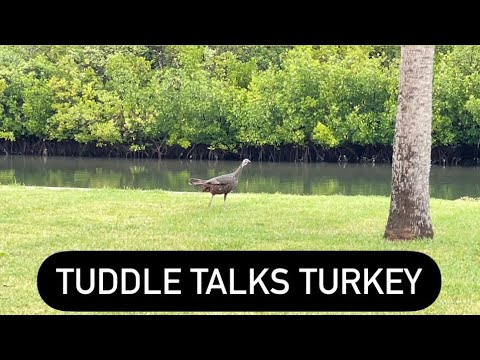 Tuddle Practices His Turkey Call