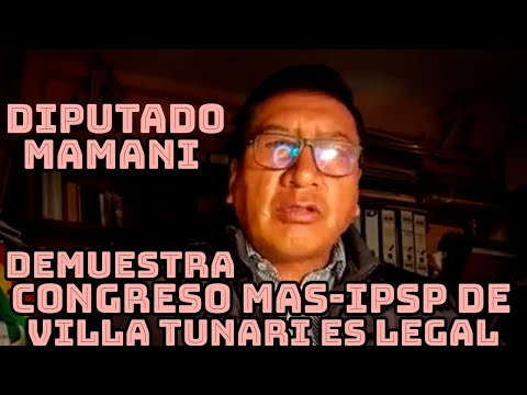 DIPUTADO FREDDY MAMANI ESTATUTO MAS-IPSP DICE SOLO DIRIGENCIA NACIONAL PUEDE CONVOCAR CONGRESO