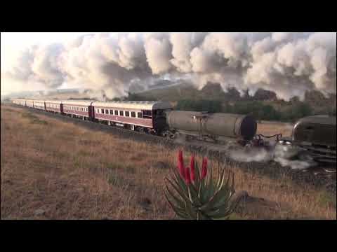 GMA Garratt stoomlocomotief | GMA Garratt Steam locomotive