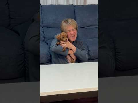 ワンコの名前が決まりました