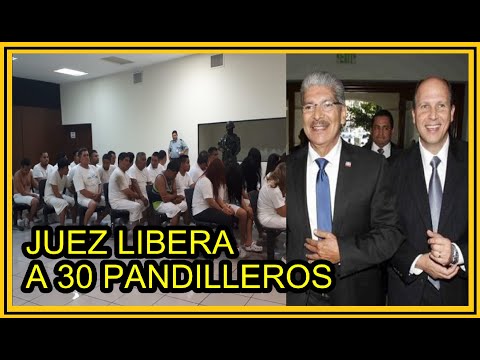 Juez suplente absuelve a 30 imputados aun con pruebas | Miguel Siman y El Plan País