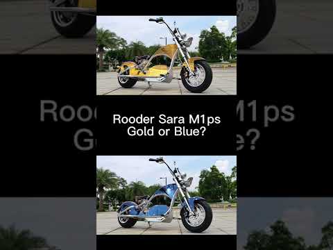 #Rooder #citycoco #chopper ElektroRoller SARA m1ps