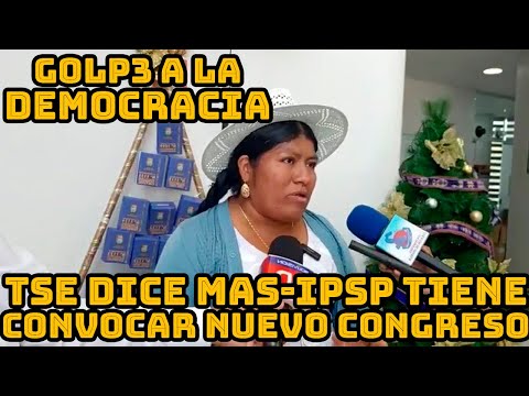 TRIBUNAL SUPREMO ELECTORAL DE BOLIVIA DECLARA IMPROCEDENTE RECURSO DEL MAS-IPSP DE IVIRGARZAMA
