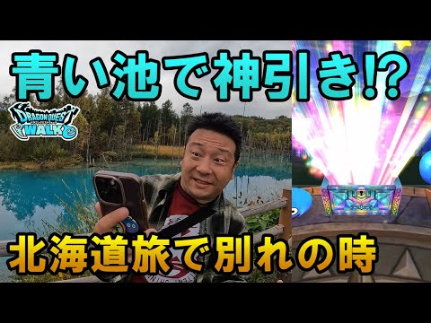 ドラクエウォーク590【北海道を旅しながら立ち寄った青い池！神秘的なパワーで神引きガチャ！そして、ついに別れの時】