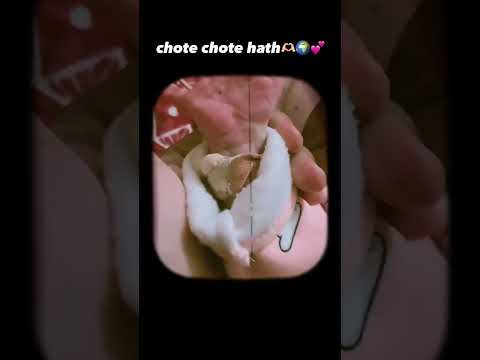 Mera sohna putt 🧸🌍❤️ #love #latestpunjabsong #nowpost #freepunjabimusic