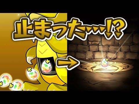 無料スーパーゴッドフェス15連が神すぎる【パズドラ】