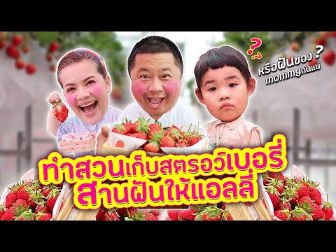 MamBob&AllyEP055:ทำสวนเก