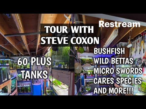 THE FISH BUZZ EPISODE 18 Turn your videos into live streams with https_//restream.io

Join us on a tour with Steve Coxon!
Ste