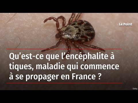 Qu’est-ce que l’encéphalite à tiques, maladie qui commence à se propager en France ?