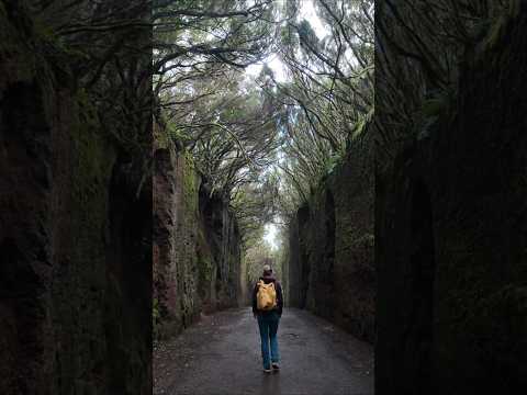 Cała Teneryfa w jeden dzień, Anaga, deszcz i spokój #podróże  #tenerife #mrtravelstory