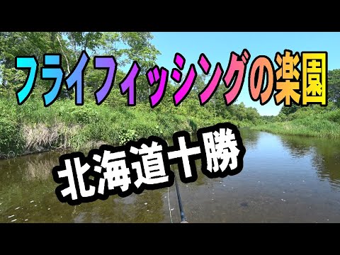 2025.6.2 ドライフライフィッシングの楽園 北海道十勝 トラウト王国北海道十勝の釣り つり部会ガイドサービス