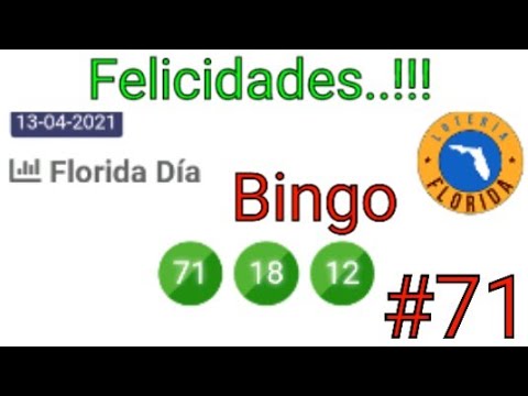 Bingazoo #71 en la Florida Tarde El Mejor..!!!