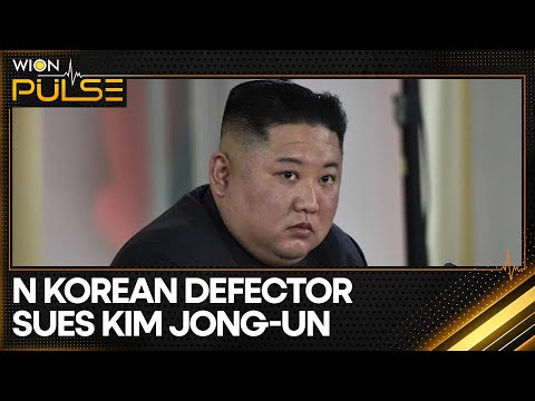 Choi Min-Kyung Seeking $37,000 in Damages From North Korean Leader | WION Pulse