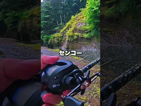 DAISOのアレ超良いですけど