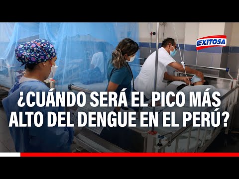 Ministro de Salud: Pico más alto de dengue será entre finales de marzo y quincena de abril