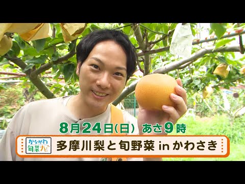 かながわ旬菜ナビ　次回予告（8月24日放送）