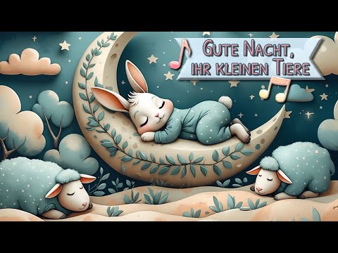 Gute Nacht, ihr kleinen Tiere 🌙🐑 | Schlaflied vom Bauernhof – Lililuna’s Kinderwelt