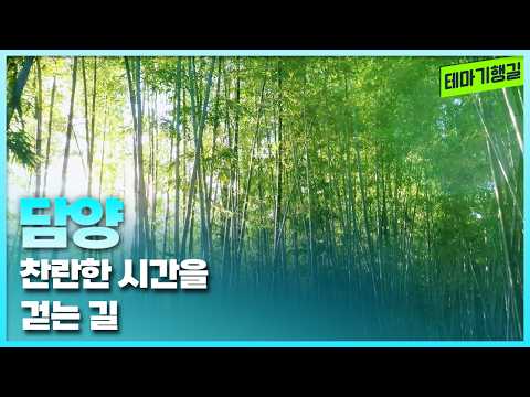 찬란한 시간을 걷는 길, <strong>담양</strong> | 테마기행길 261009 방송