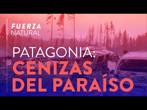 PATAGONIA: CENIZAS DEL PARÍSO - Fuerza Natural